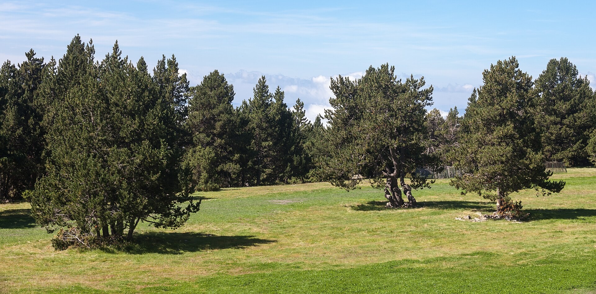 Sant Julià de Lòria, Andorra — imatge 4